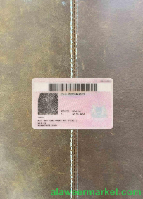 Singapore ID (updated) photolook BACK